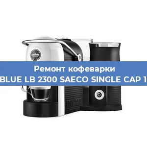 Чистка кофемашины Lavazza BLUE LB 2300 SAECO SINGLE CAP 10080606 от накипи в Ростове-на-Дону